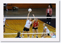 vs Hayden * (348 Slides)